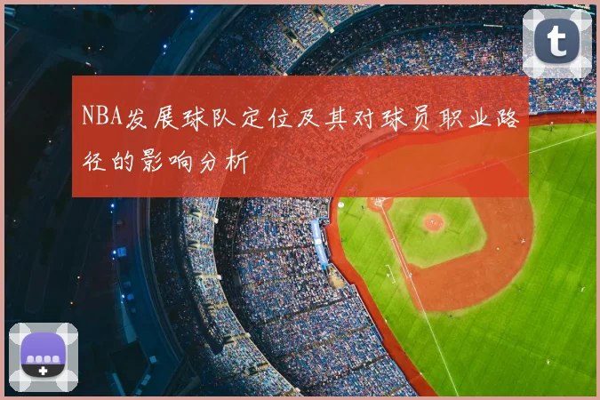 NBA发展球队定位及其对球员职业路径的影响分析
