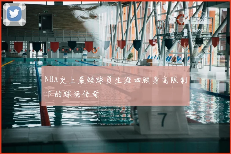 NBA史上最矮球员生涯回顾身高限制下的球场传奇