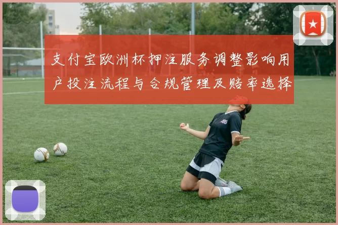 支付宝欧洲杯押注服务调整影响用户投注流程与合规管理及赔率选择